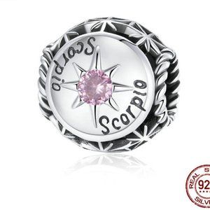 925 Stering Silver Scorpio Charm